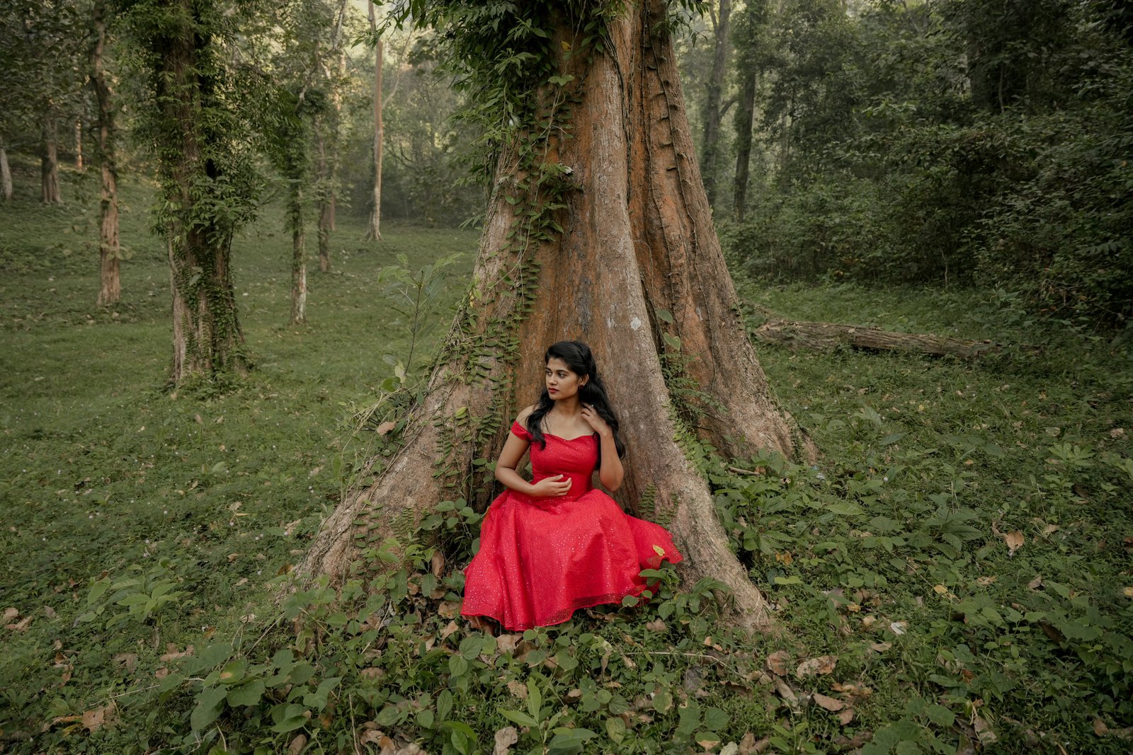 Colorful photography showcase
